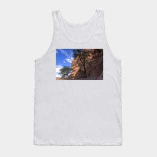 Madain Saleh Tank Top